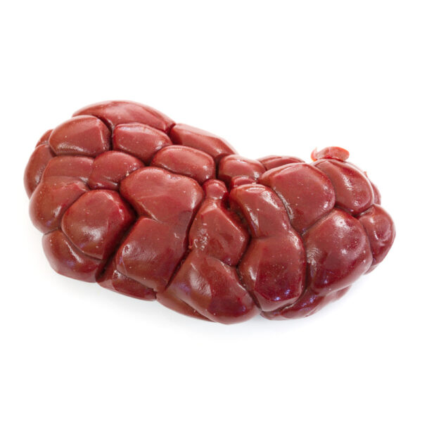 Frozen Beef Kidney